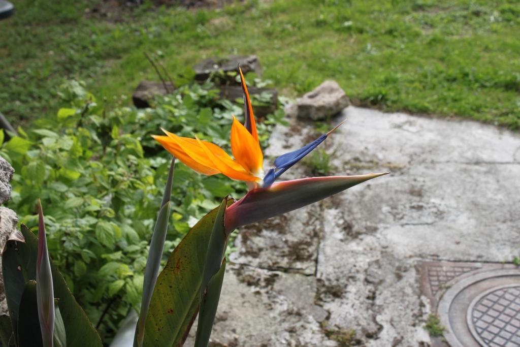 La Eria De Colombres Villa Oda fotoğraf